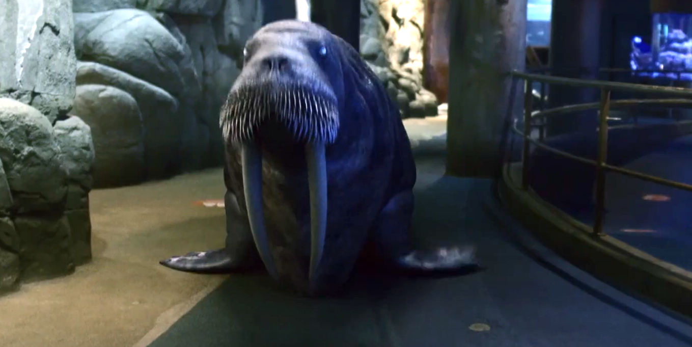 Aquarium of the Dead (2021) Film Blitz