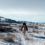 Organ Trail (2023)