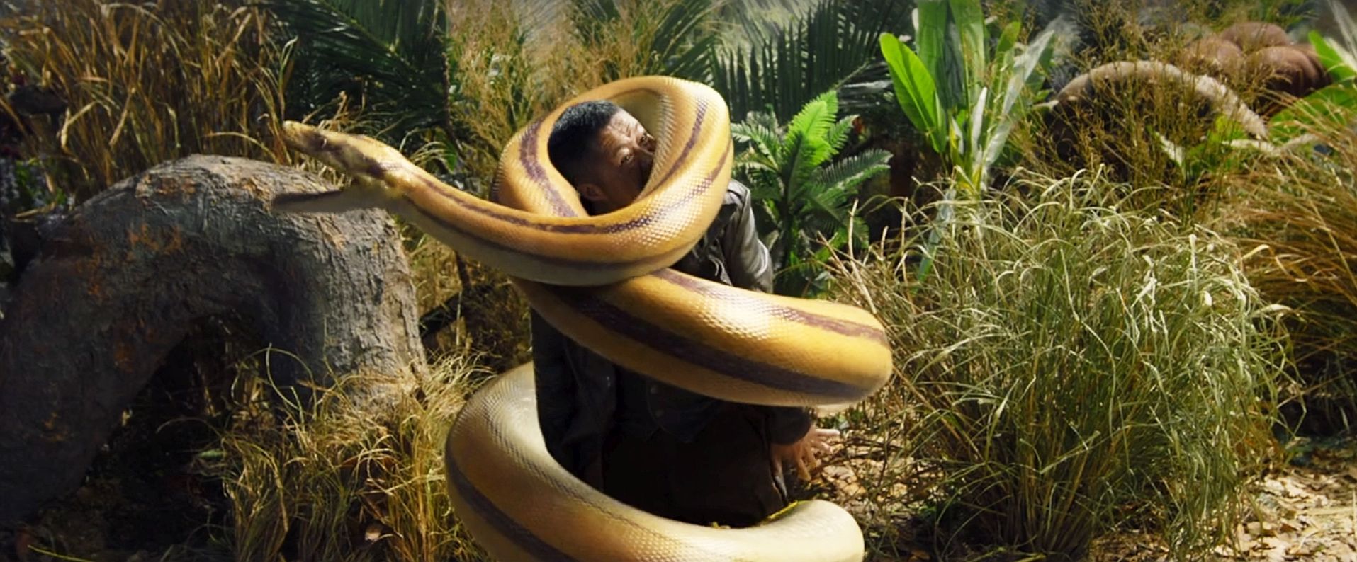 Snake Island Python (2022)- MyDramaList