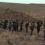 The Ruck March (2025)